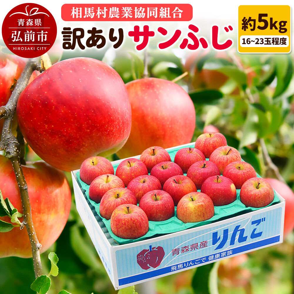 楽天市場】【ふるさと納税】【26年2月発送】りんご【訳あり】サンふじ