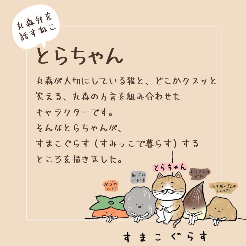 楽天市場】【ふるさと納税】とらちゃんTシャツ×1枚（XLサイズ）｜ネコ