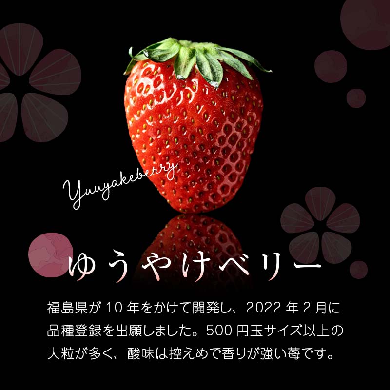 楽天市場】【ふるさと納税】＜2026年発送＞完熟 いちご 贅沢食べ比べ 4