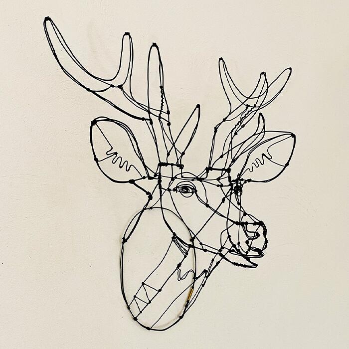 偶然のかたち ワイヤーアートの世界 帯付き 大型本 偶然のかたち