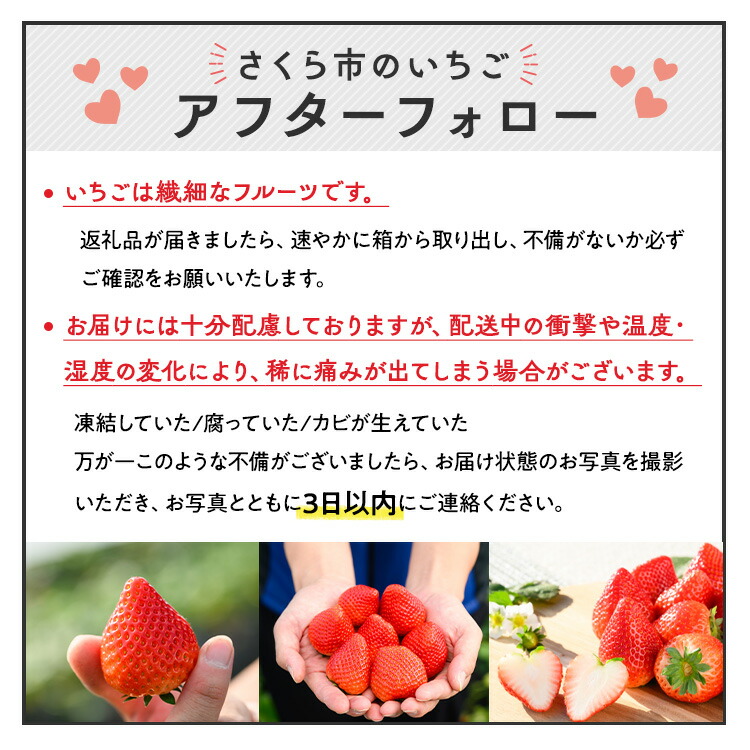 楽天市場】【ふるさと納税】深紅のいちご 『ロイヤルクイーン』 大粒