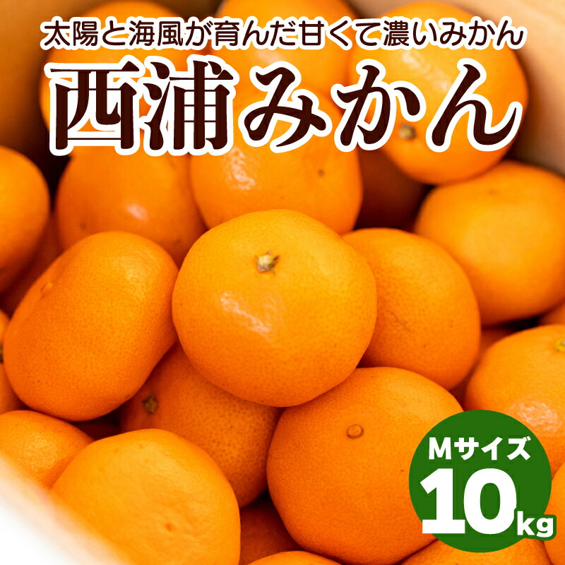 楽天市場】【ふるさと納税】 西浦みかん M 10kg 柑橘 ミカン 蜜柑 果物