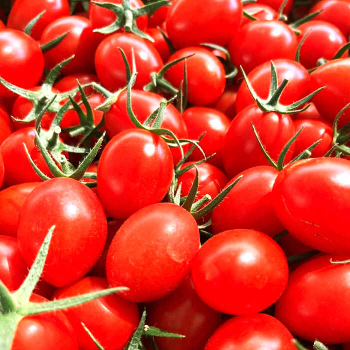 楽天市場】【ふるさと納税】 ミニトマト (フロランティーノ) 800g