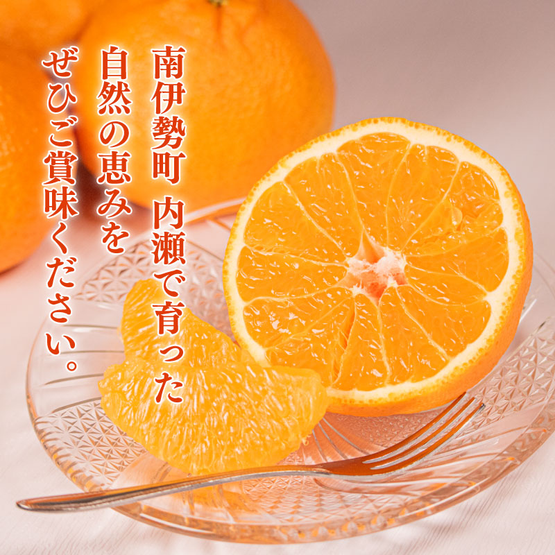 楽天市場】【ふるさと納税】 先行予約 柑橘 定期便 2回 温州みかん せ