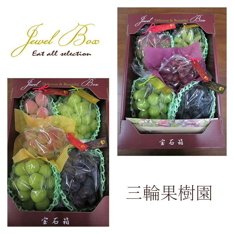 楽天市場】【ふるさと納税】ぶどう 2026年 先行予約 ジュエルボックス