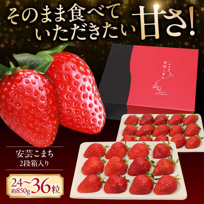 楽天市場】【ふるさと納税】【先行予約】いちご 選べる数量！＜2026年1