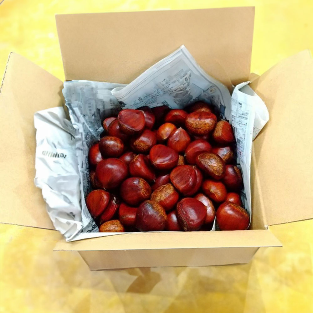 楽天市場】栗 4lの通販