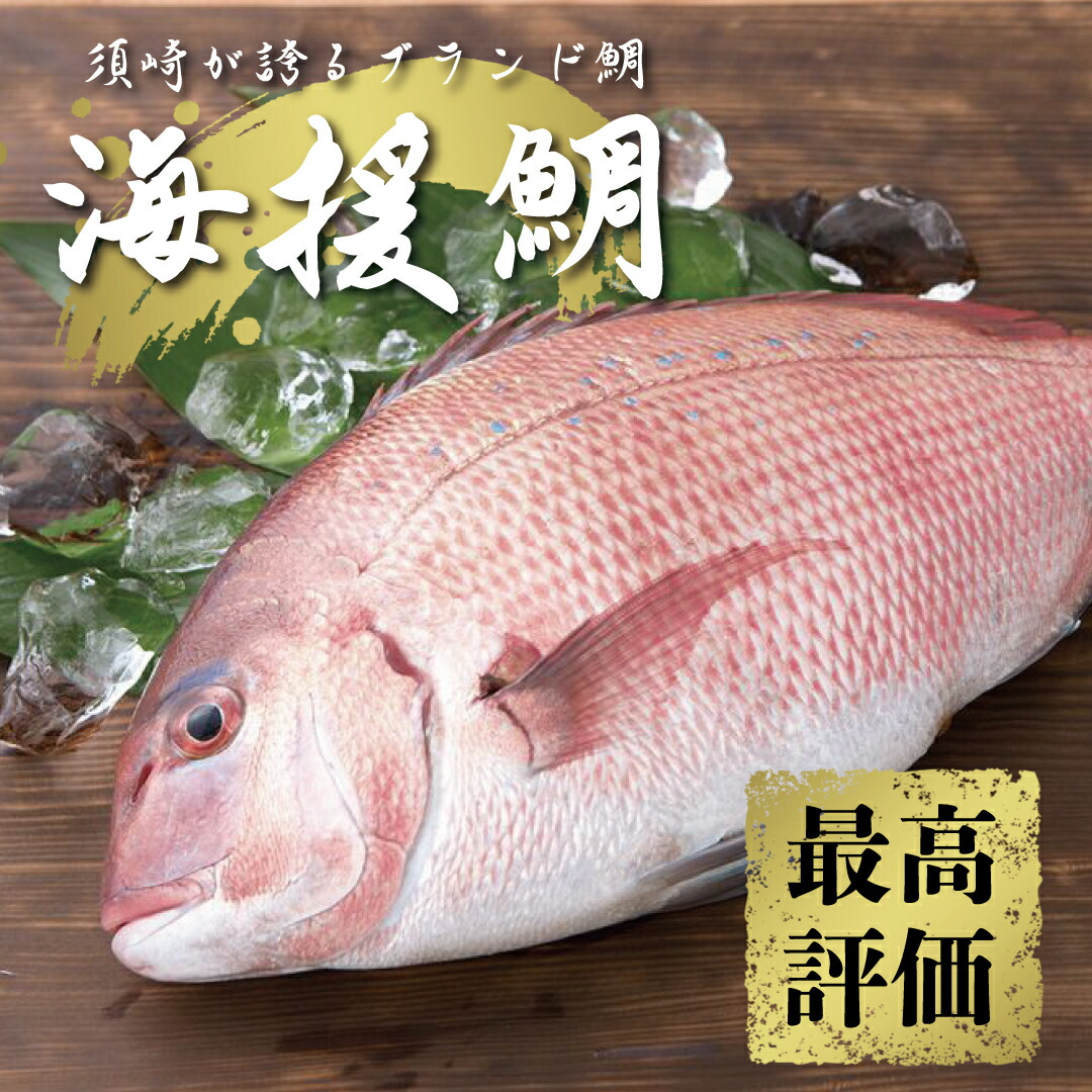 楽天市場】【ふるさと納税】 鯛 タイ 刺身 まるごと 1匹分 鮮魚 日本最