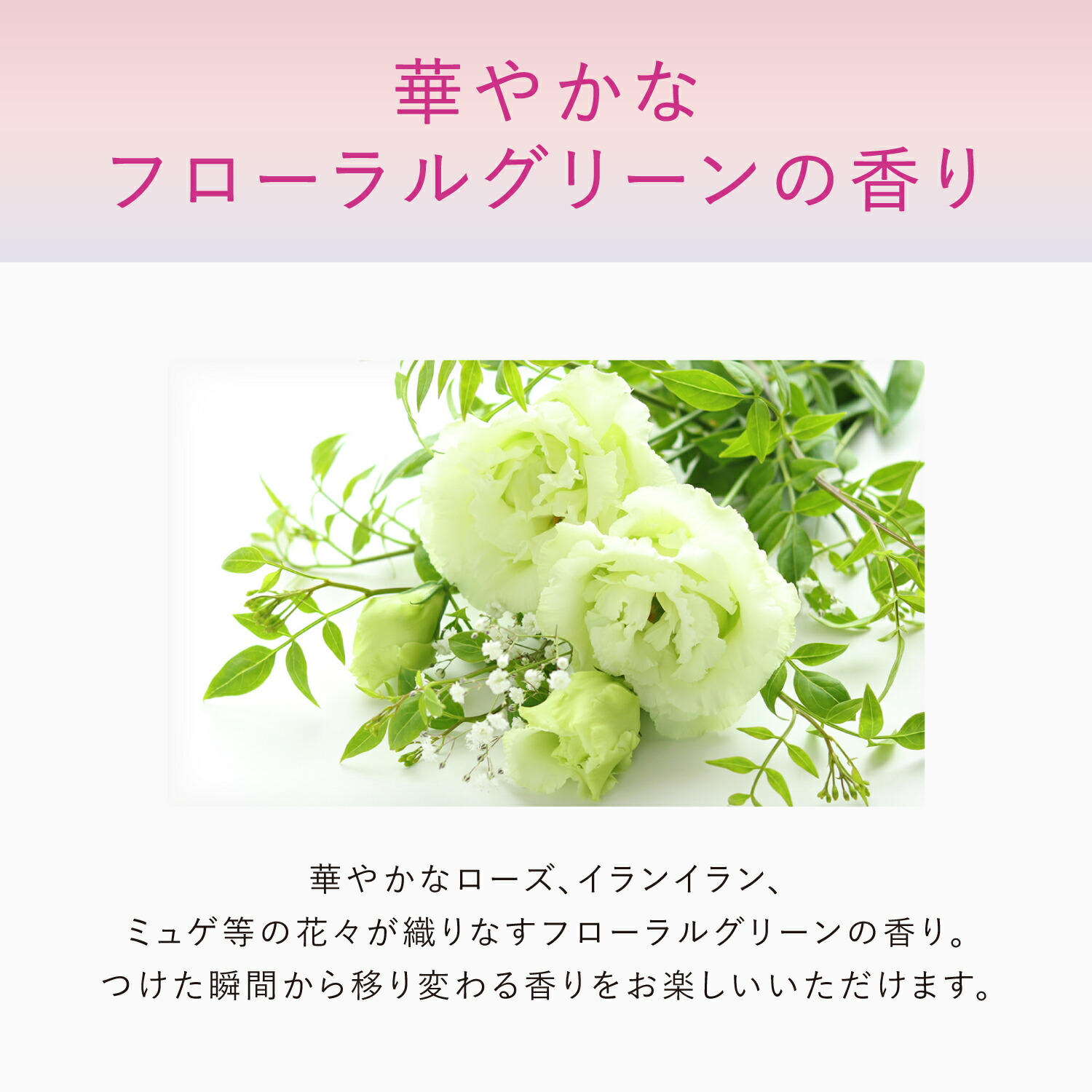 楽天市場】アスタリフト ザ セラム リンクルリペア（朝夜セット）約70