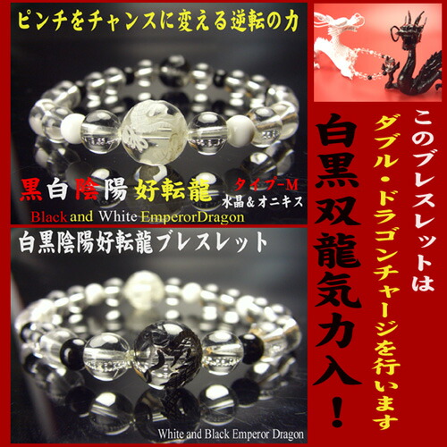 楽天市場】【送料無料】五本指の龍-【M】◇白黒双龍◇皇帝龍