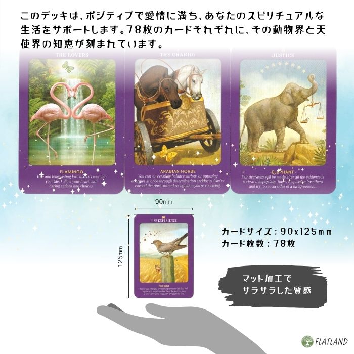 楽天市場】アニマル・ガイズ・タロット Animal Guides Tarot 英語版