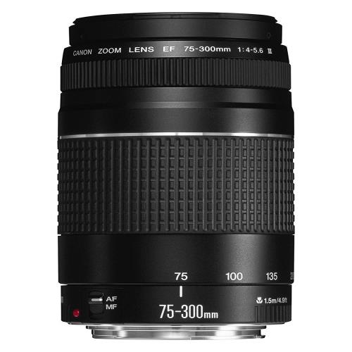 楽天市場】ef75－300 4-5.6 フィルターの通販