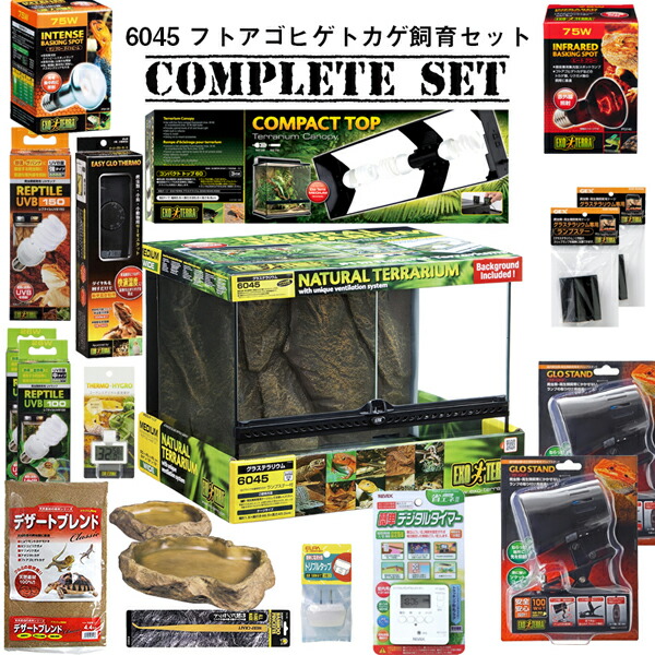 楽天市場】【水槽セット】6045 フトアゴヒゲトカゲ飼育セット
