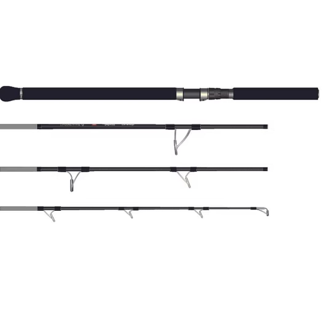 楽天市場】トランスセンデンスの通販