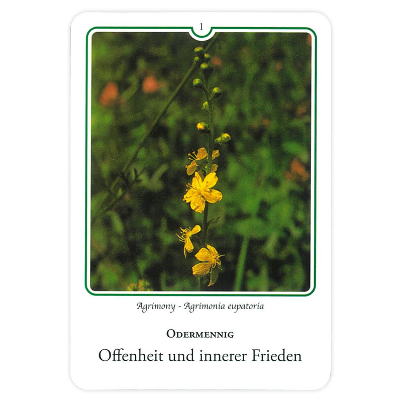 楽天市場】バッチフラワーレメディ写真カードセット(38種)ドイツ版