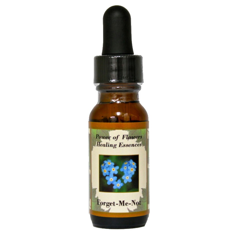 楽天市場】フラワーエッセンス ベビーブルーアイズの通販