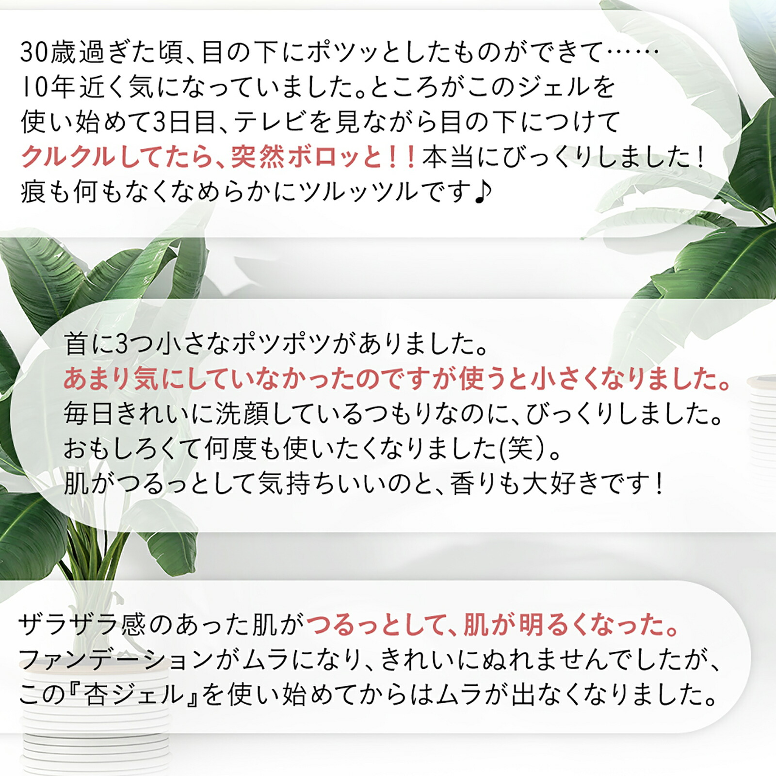 楽天市場】【公式】特割3本セット むき肌つるん ぽろぽろとれる杏