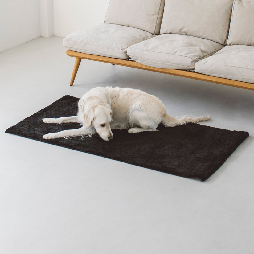 楽天市場】【犬 ラグ】ケージ ゲージ シート マット 簡単 かんたん