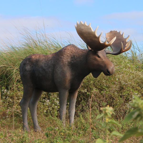 楽天市場】FRPアニマルオブジェ ムース置物 動物 しか シカ 鹿