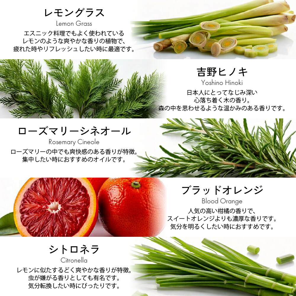 楽天市場】エッセンシャルオイル 5ml×5本 セット アロマオイル 精油