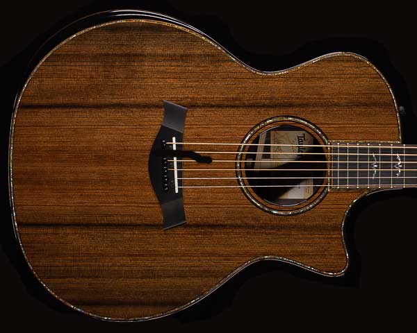 楽天市場】Taylor（テイラー）914ce LTD V-Class Sinker Redwood