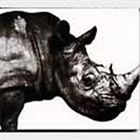 楽天市場】Mr.Children / Mr.Children 1992-1995 [CD] : ポプカル 楽天