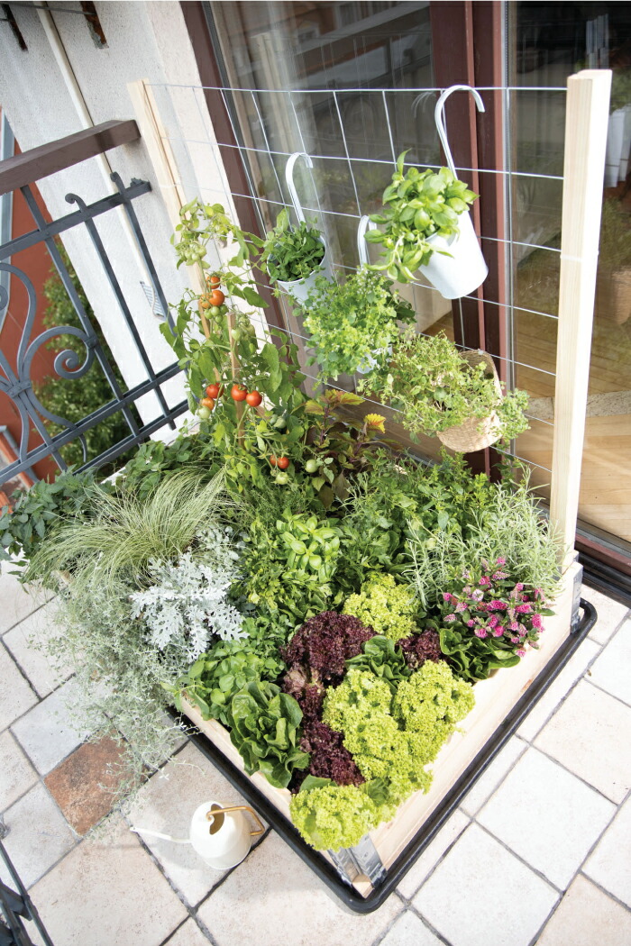 楽天市場】【ガーデンボックス オプション品】トレリス メッシュ