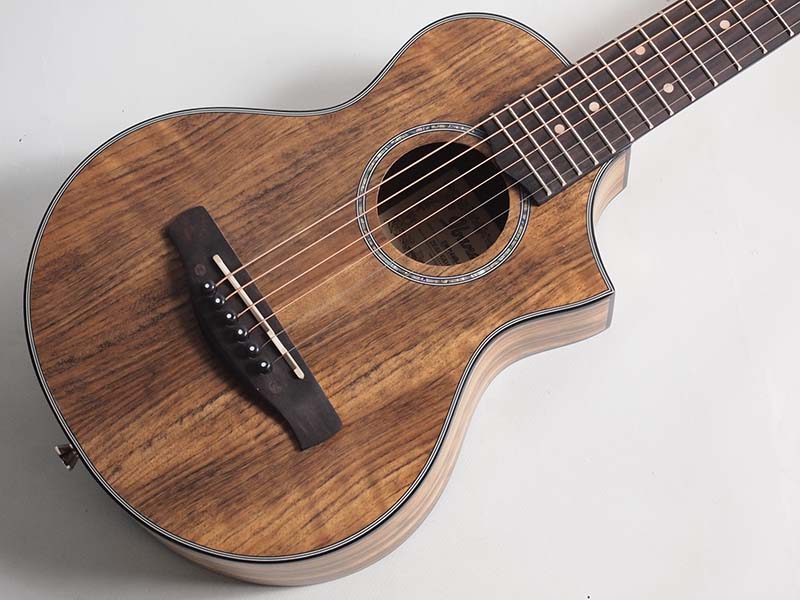 アイバニーズ EWPシリーズ EWP14WB [OPN] (アコースティックギター