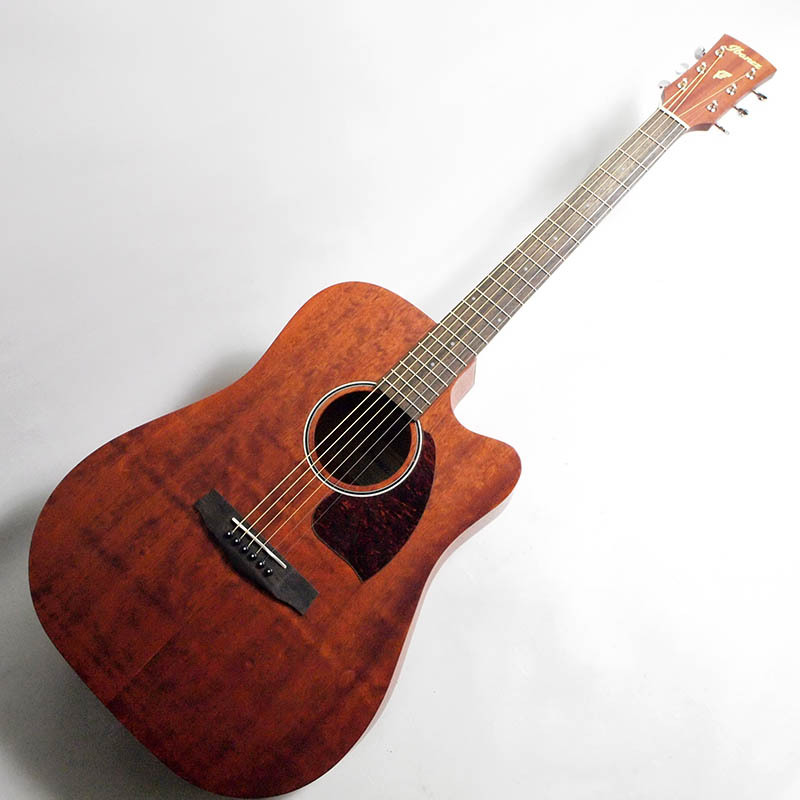 楽天市場】Ibanez PF12MHCE-OPN (Open Pore Natural) エレアコ