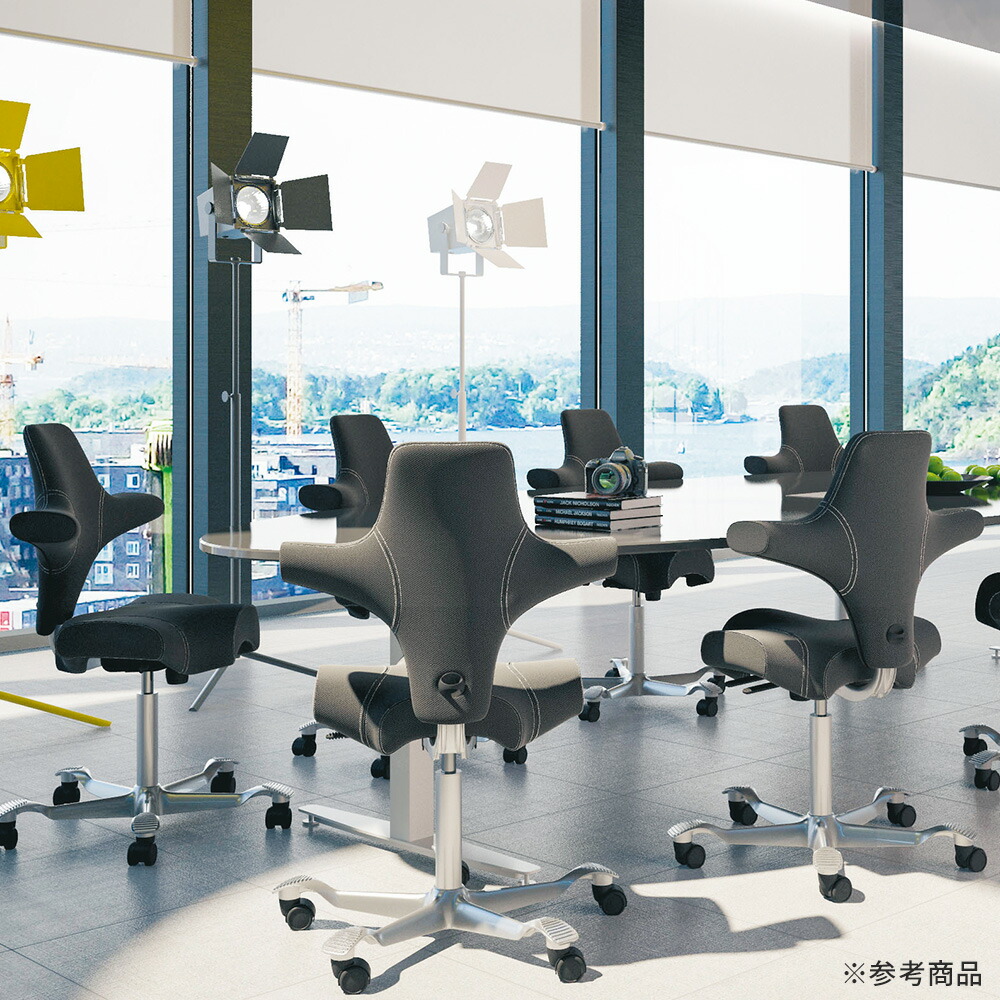 楽天市場】HAG CAPISCO カピスコ クロス張り チェア(正規輸入品 デスク