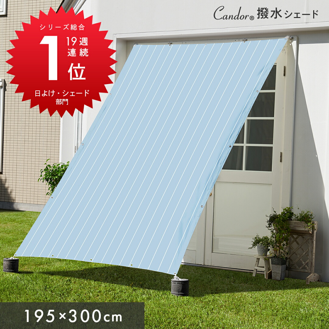 楽天市場】【 10%OFFクーポン 】Candor(R)公式 週間ランキング17週連続