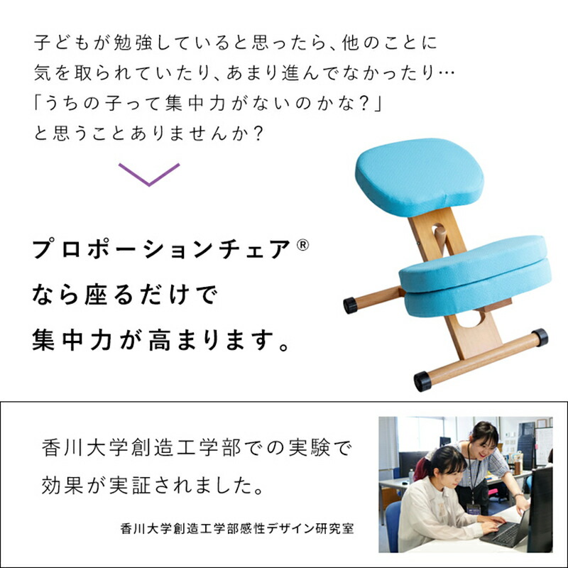 楽天市場】全15色展開 補助クッション付き プロポーションチェア 宮武