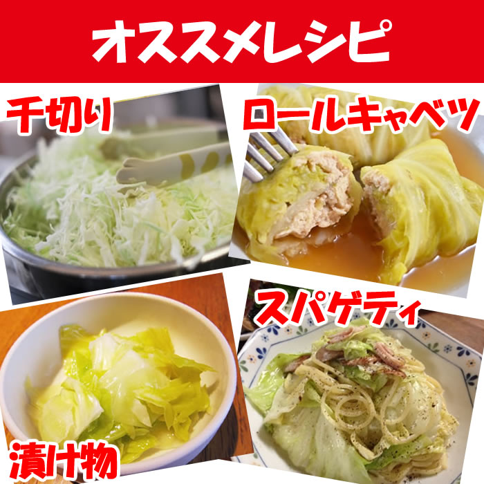 楽天市場】キャベツ 8玉 Lサイズ／約9.6kg〜箱売り【季節野菜 11月〜5
