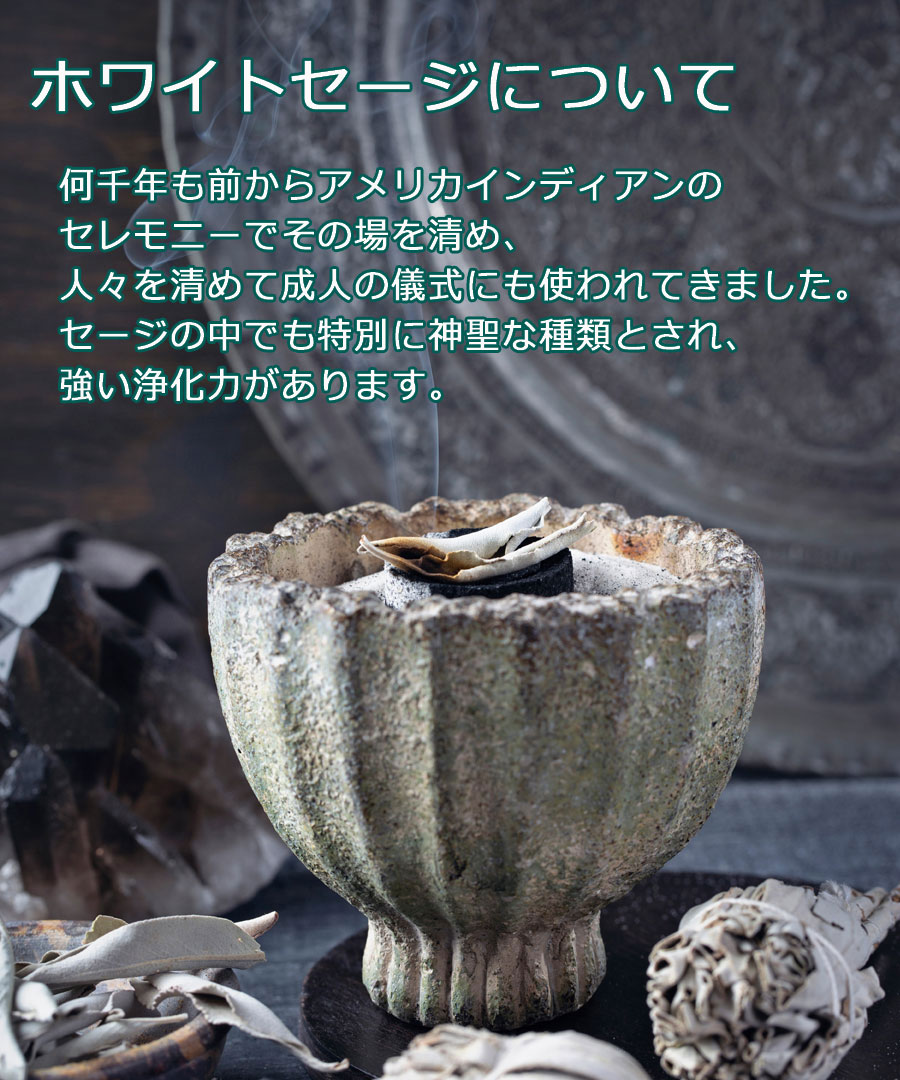 楽天市場】新鮮な香りのセージを輸入【期間限定10％増量中】＼完全無