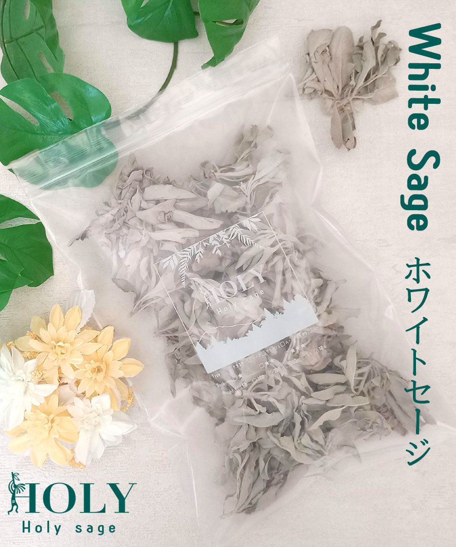 楽天市場】＼完全無農薬 採れたて セージ／【送料無料】ホワイトセージ