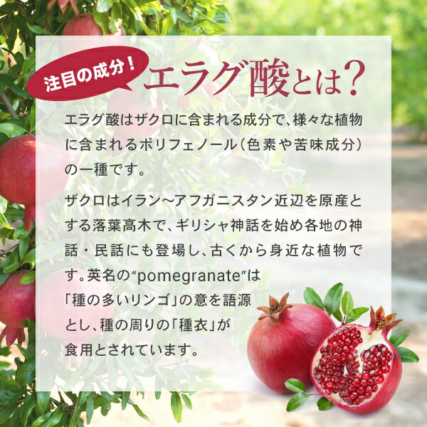 楽天市場】ダイエットサプリ 肥満気味の方の脂肪減少をサポートする