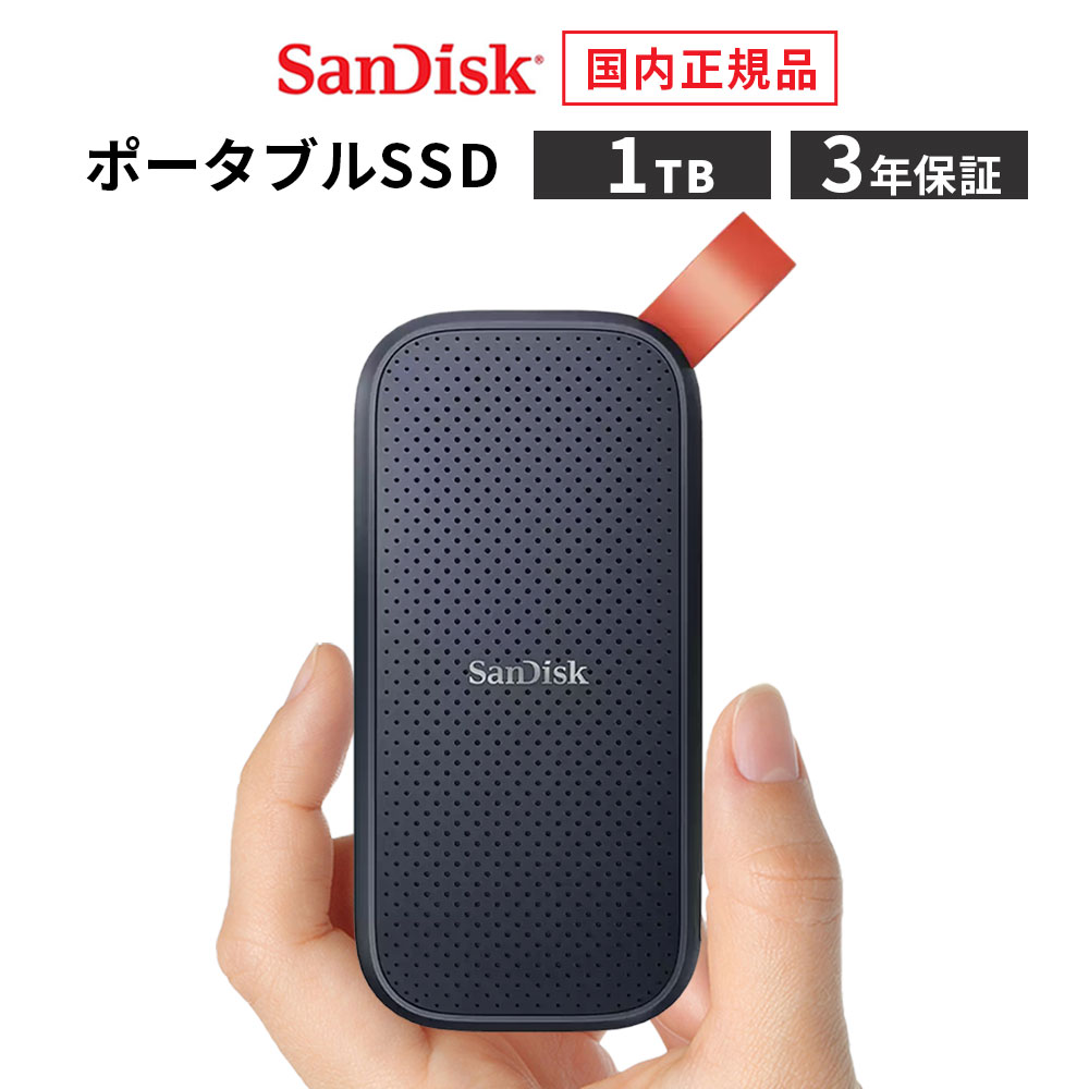 SDSSDE30-1T00」の人気商品一覧 | 安い商品を通販サイトから探す
