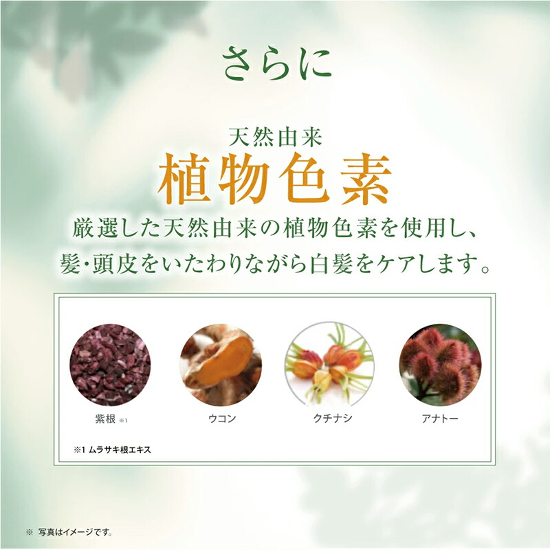 楽天市場】白髪用 利尻カラーシャンプー ＆ カラーケア