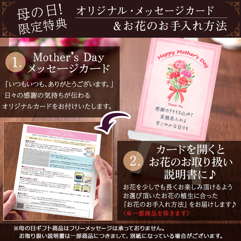 楽天市場】早割実施中！ 母の日 プレゼント 花 ギフト 鉢植え バラ