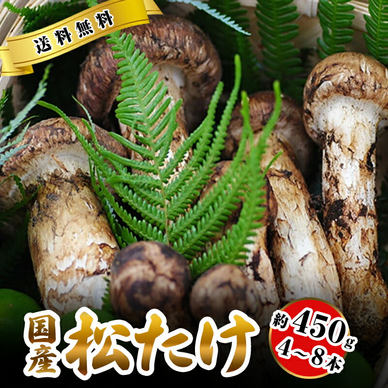 楽天市場】2026年10月分予約 【全額返金】国産 松茸 中つぼみ(半開き