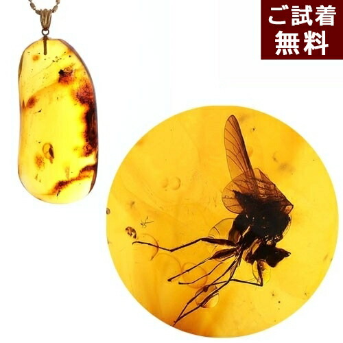 楽天市場】＼3月3日まで臨時休業中／化石 虫入り琥珀 ペンダントトップ