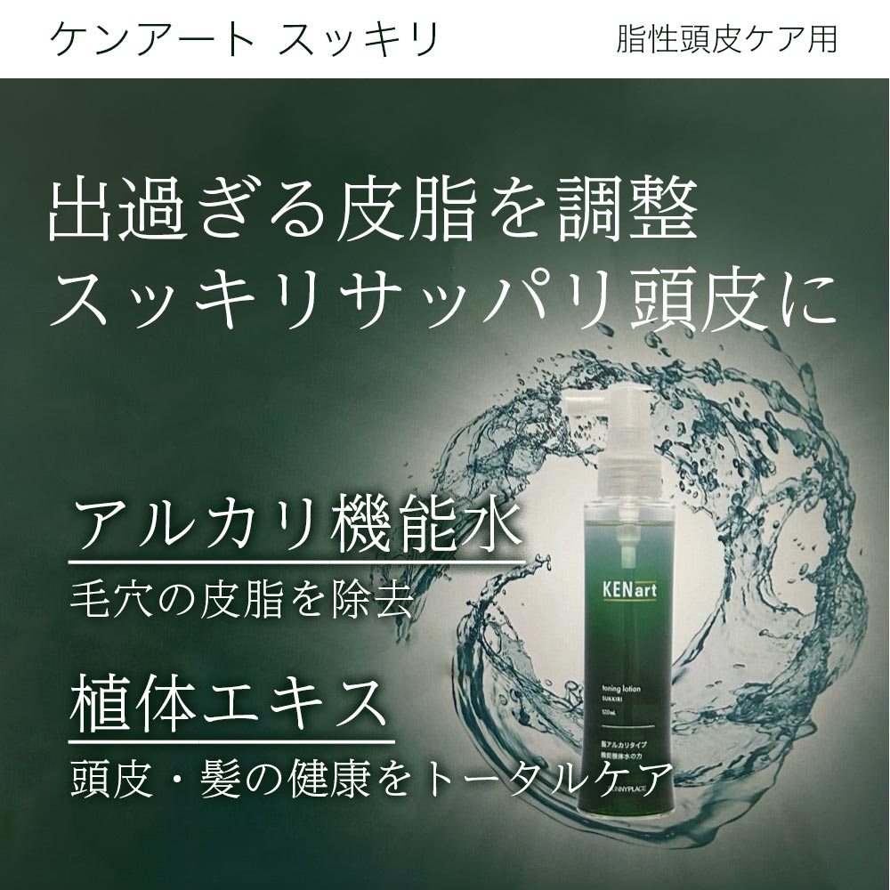 楽天市場】【LINE登録で300円クーポン】サニープレイス ケンアート