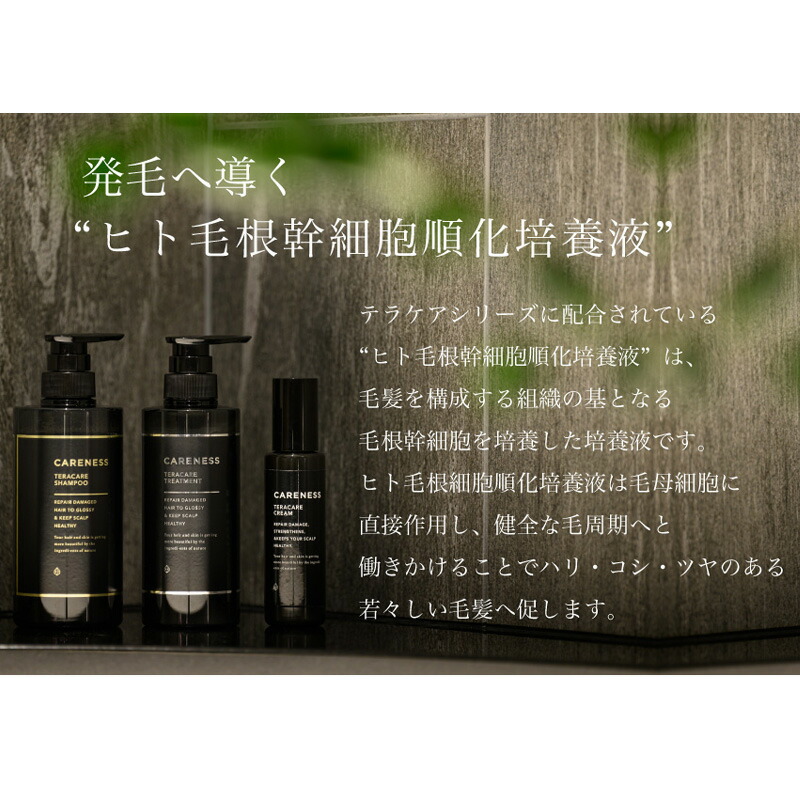 楽天市場】【LINE登録で300円OFF】ケアネス テラケアシャンプー