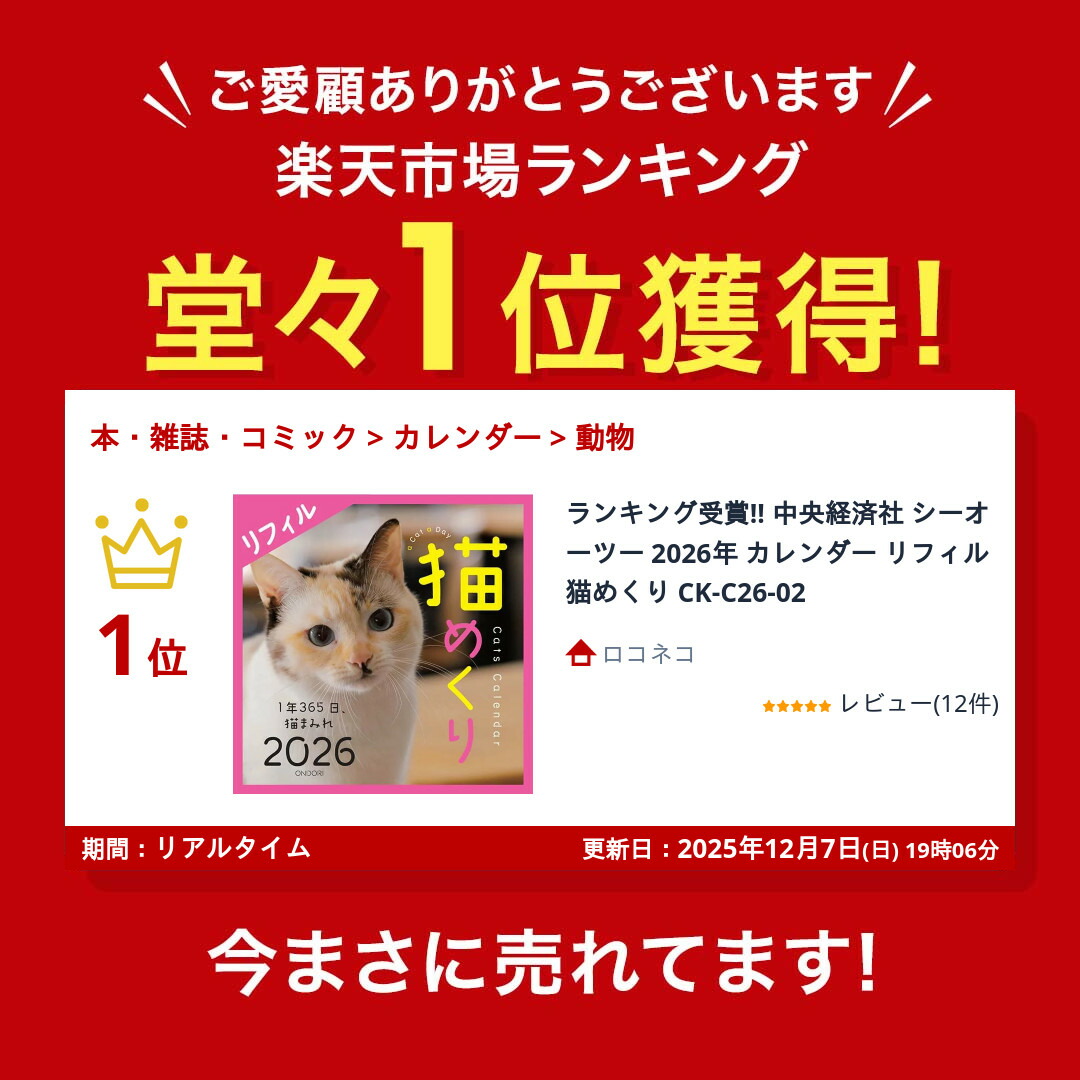 シュレ猫 プリマジ リフィル12セット+おまけ ねこヘルプ手帳リフィル