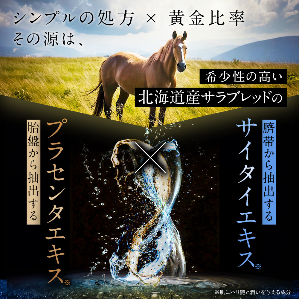 楽天市場】【特別クーポン配布中】プレミアムセット 北の快適工房