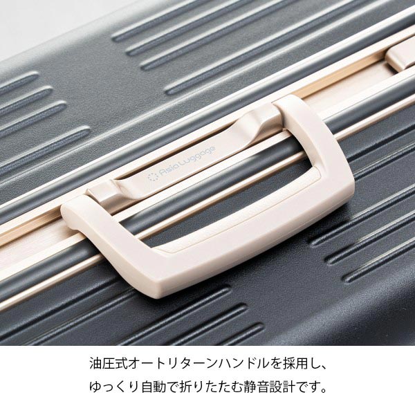 楽天市場】【各種利用でポイント最大27倍！ 】 アジアラゲージ アジア