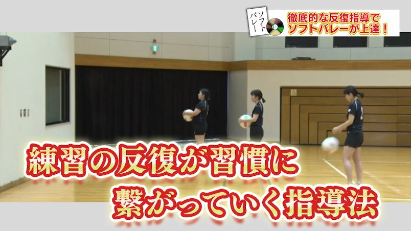 楽天市場】ソフトバレーボール上達革命 DVD〜ソフトバレーボール連盟副
