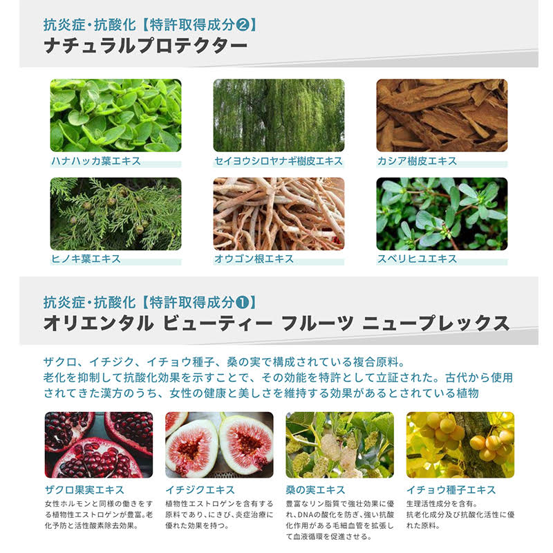 楽天市場】エピダームプラスクリーム 230gx2個 正規品 大人気エピ