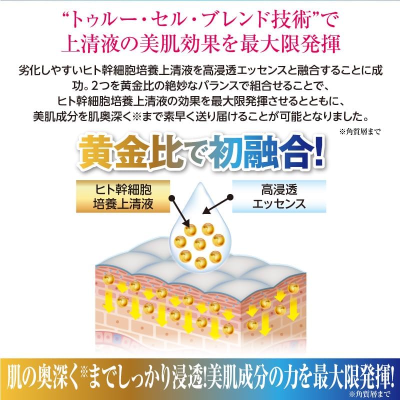 楽天市場】＼買うなら今日お得／タイムセール3%offクーポン発行中