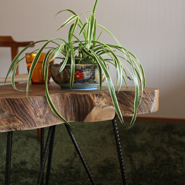 楽天市場】クーポン祭り開催中！商品名| グリーン スタンド C 観葉植物